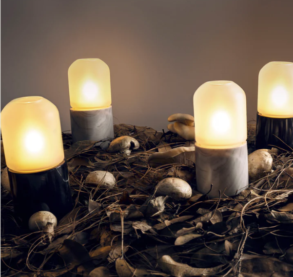 Portavela capsula blanco