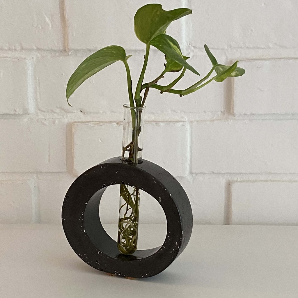 Florero propagación circular negro