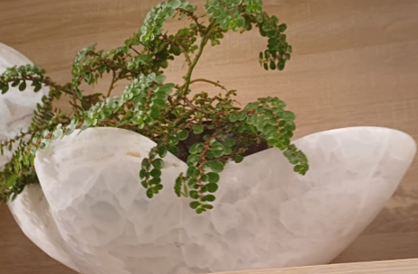 Bowl Onix Blanco Irregular