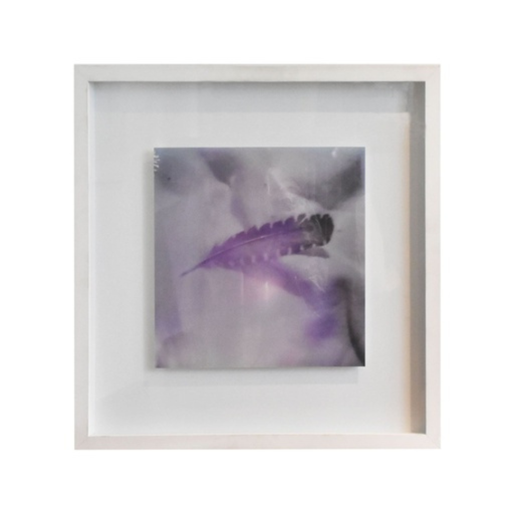 Obra de Arte Hoja de Isabel Herrera