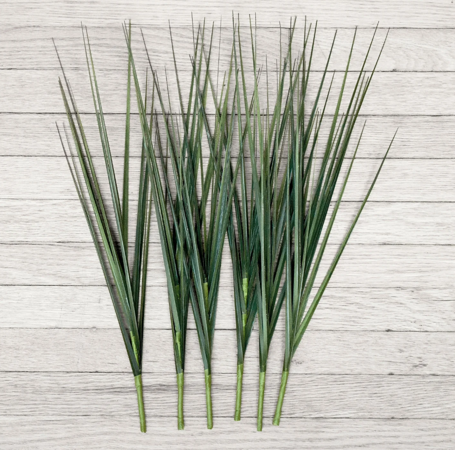 Hierba Cortada sin maceta (6 Tallos por rama)