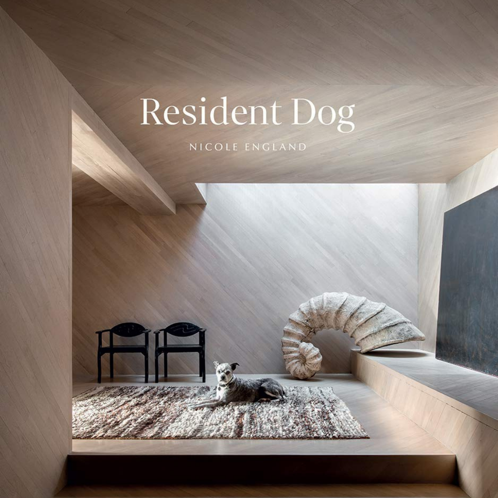 Libro Resident Dog