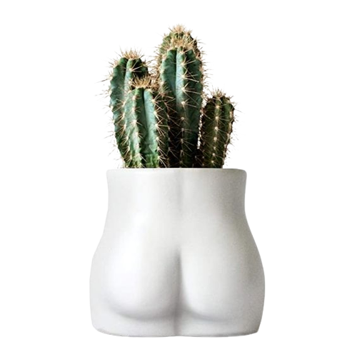 [D0008] Booties Blancos