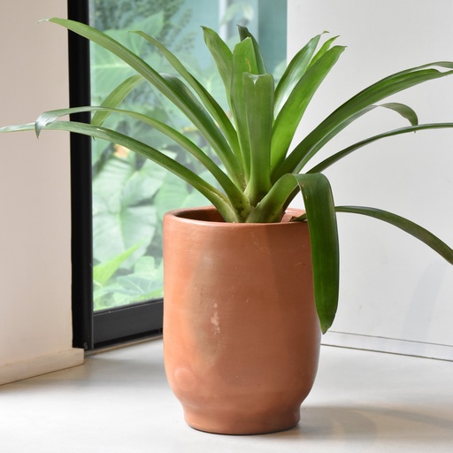 [M0005] Maceta barro copa mediana