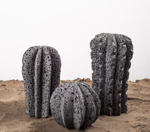 Cactus de Piedra Volcánica