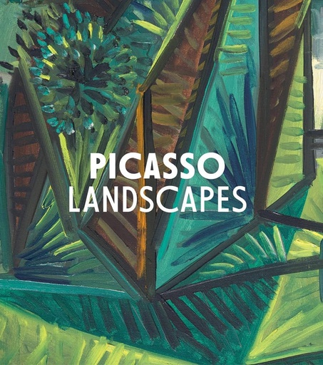 Libro Picasso Landscapes