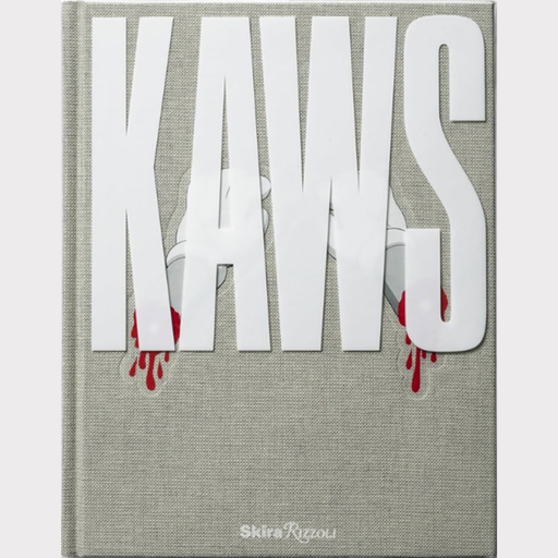 Libro Kaws