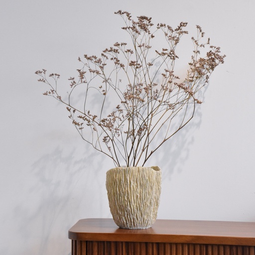 Florero De Mar Color Hueso