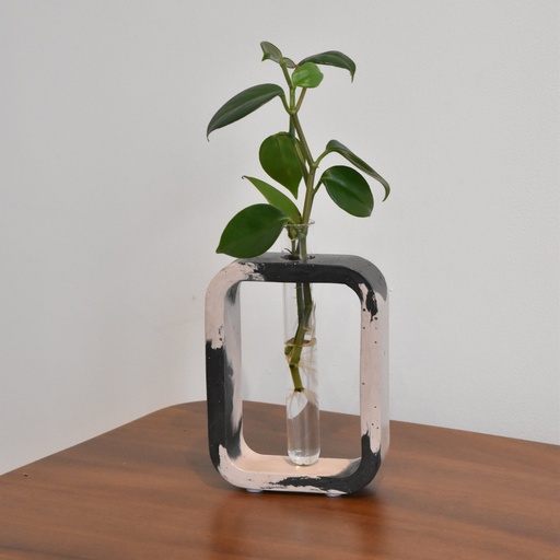 Jarrón Propagación Mancha Negro