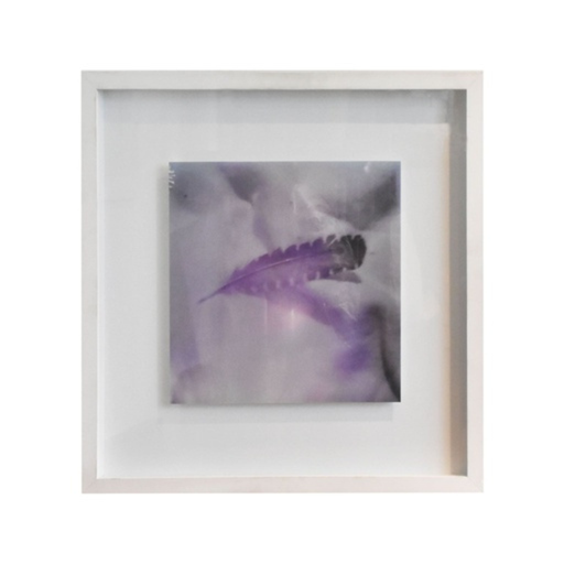 Obra de Arte Hoja de Isabel Herrera