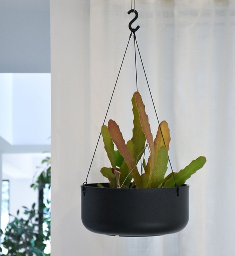 Maceta Colgante